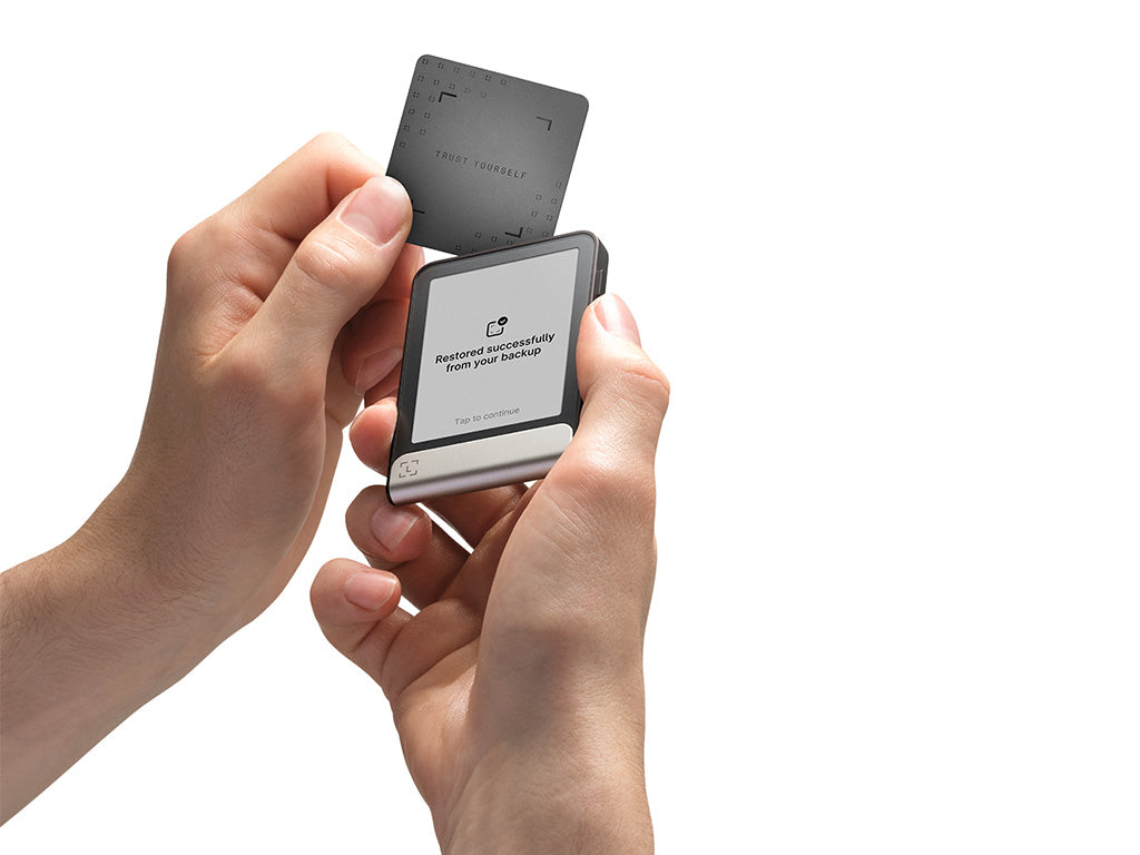 Ledger Flex mit Recovery-Key